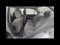 2005 Honda Civic EX