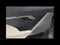 2024 BMW 5 Series 530i xDrive