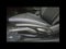2025 MINI Cooper S Cooper S