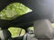 2024 BMW 530i 530i xDrive
