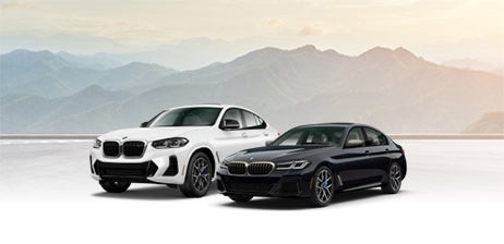 Two BMW Performance M vehicles parked parallel to each other in front of mountainous landscape.