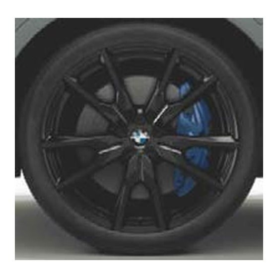 BMW Style 748M winter wheel